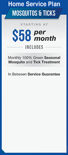 Mosquitos and Ticks Home Service Plan starting at 58 dollars per month
